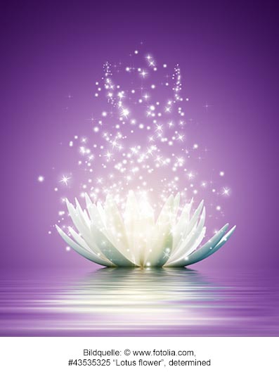 Die Lotusblume als Symbol der Erleuchtung