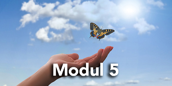 Modul5