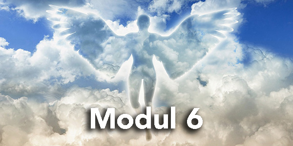 Modul6