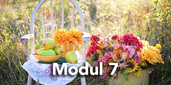 Modul7