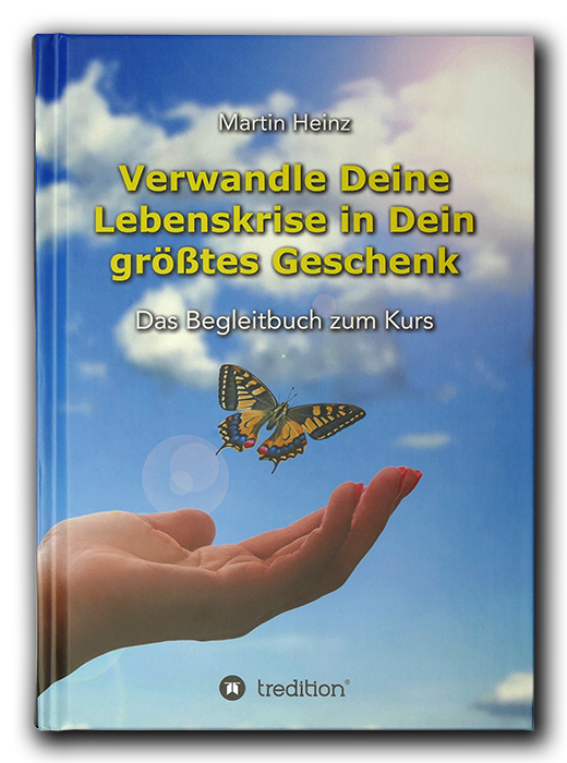 Verwandle Deine Lebenskrise in Dein größtes Geschenk - Martin Heinz